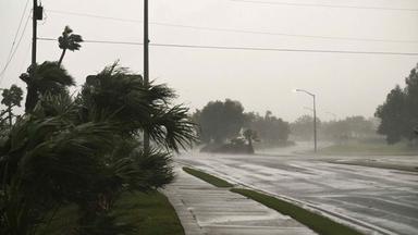 USA, Florida: Leere Straße auf Pensacola während der starken Winde des Hurrikans Isaias