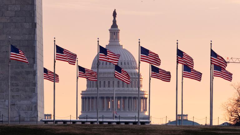 Amerikanische Flaggen wehen im Wind vor dem Gebäude des Kapitols in Washington.
