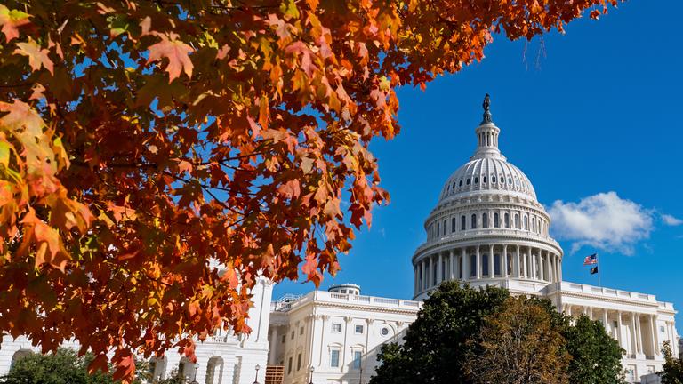 Ein herbstlicher Baum mit roten Blättern in Washington D.C., im Hintergrund ist das Capitol zu sehen.