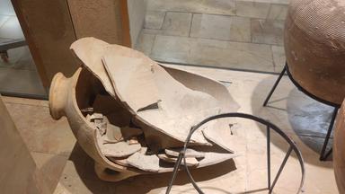 Ein Junge hat im Hecht Museum in Haifa einen Krug zerstört