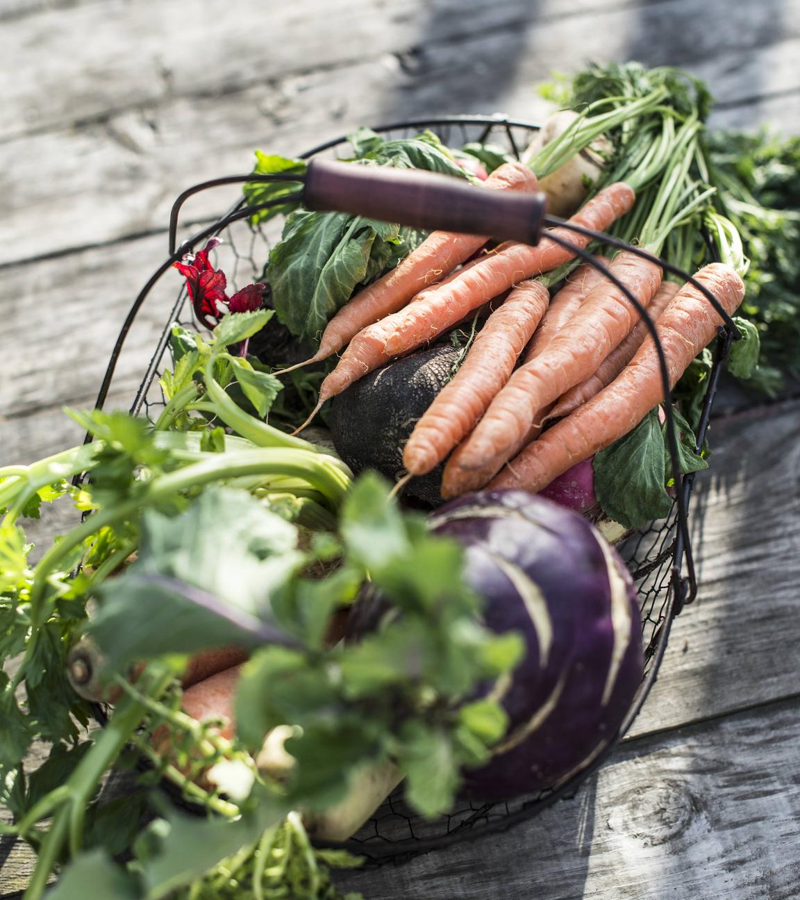 Veganer Wurzelgemüseeintopf 