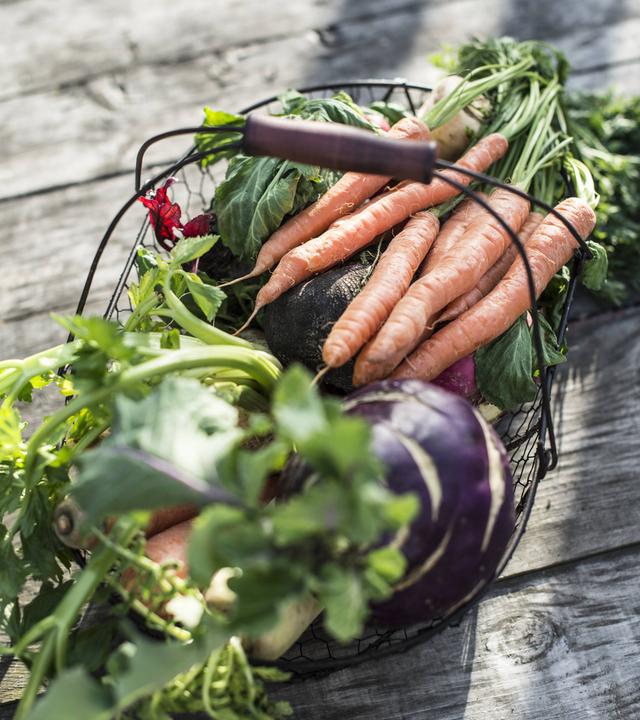 Veganer Wurzelgemüseeintopf 