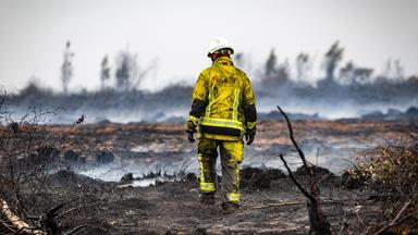 Ein Feuerwehrmann löscht Glutnester im Naturschutzgebiet Hohes Venn. Die Bekämpfung des Waldbrandes ist wegen des torfhaltigen Bodens in dem Naturschutzgebiet besonders schwierig. 