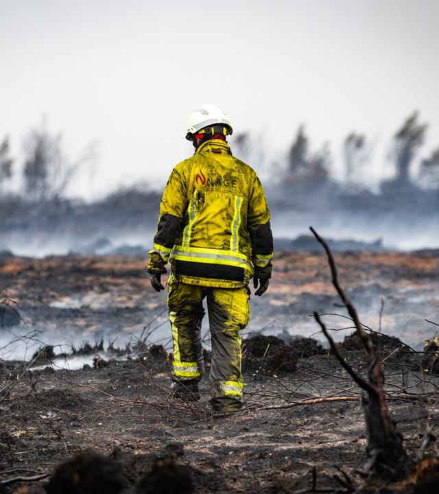 Ein Feuerwehrmann löscht Glutnester im Naturschutzgebiet Hohes Venn. Die Bekämpfung des Waldbrandes ist wegen des torfhaltigen Bodens in dem Naturschutzgebiet besonders schwierig. 