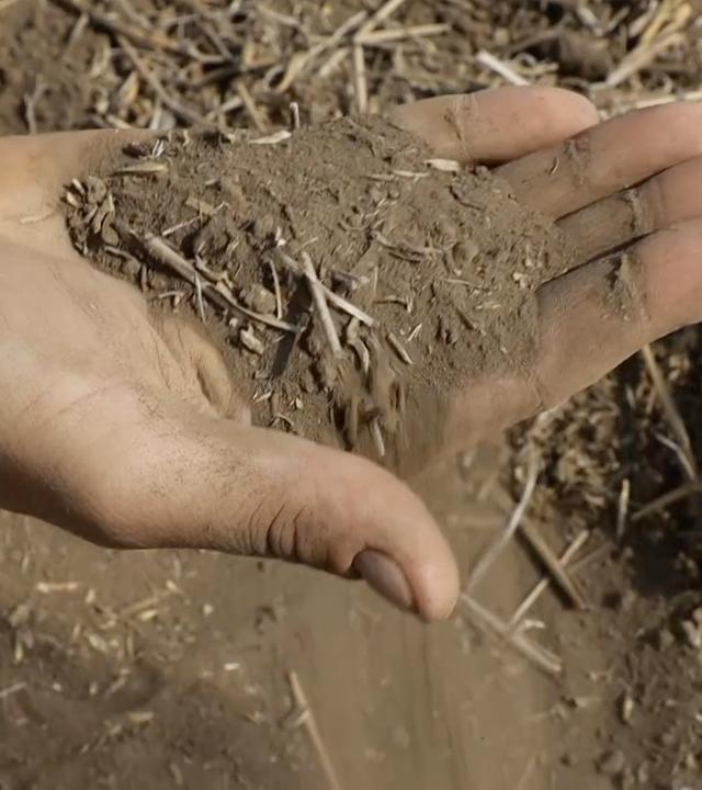 Großaufnahme einer Hand mit staubiger Erde.