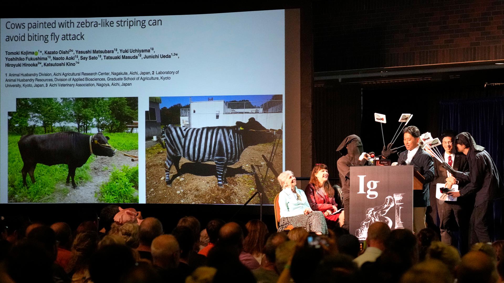 Das Team aus Japan nimmt den "Ig-Nobelpreis" für Biologie entgegen.