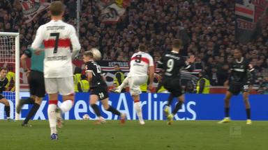 VfB