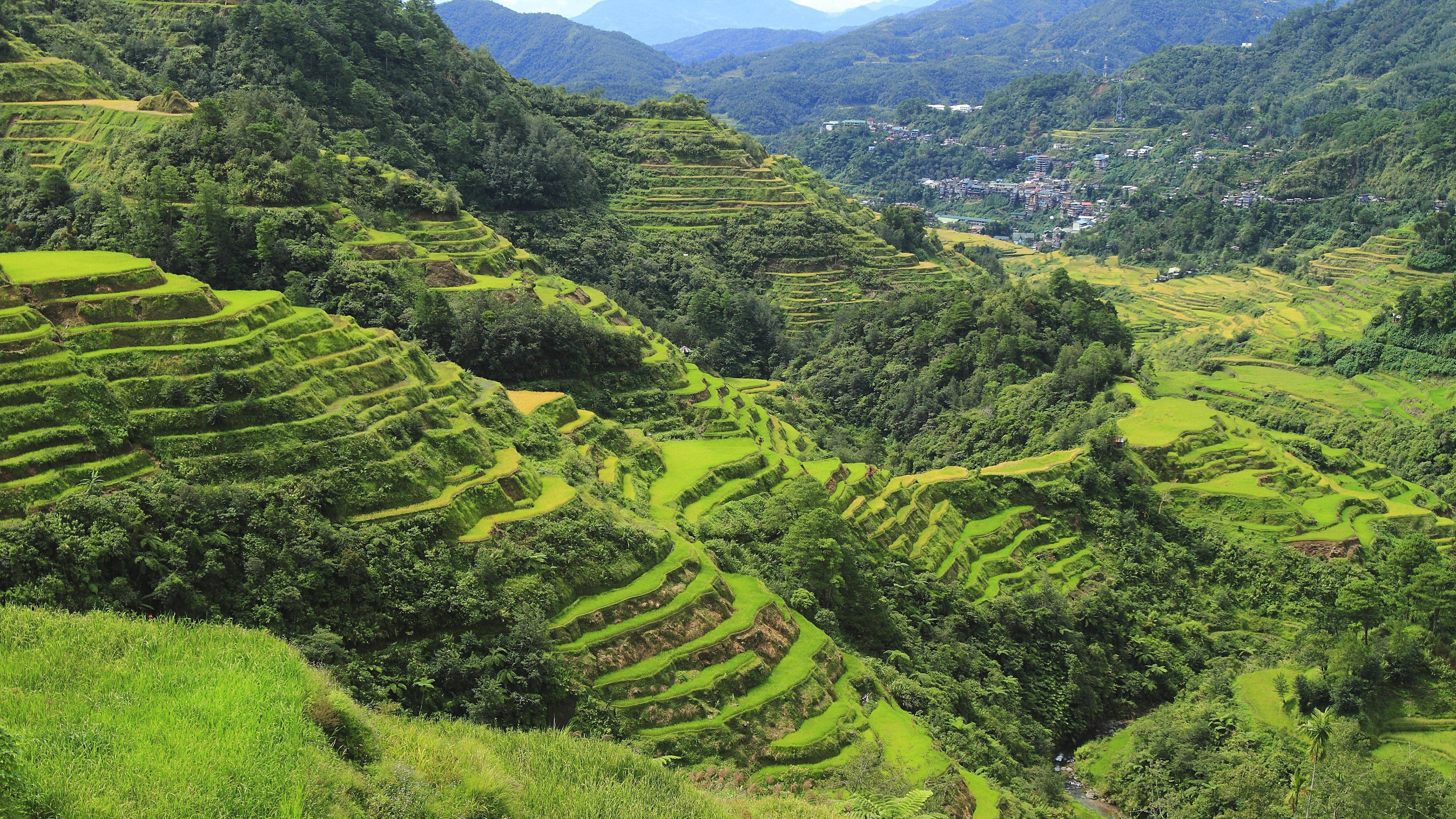Reisterrassen von Banaue,  Philippinen