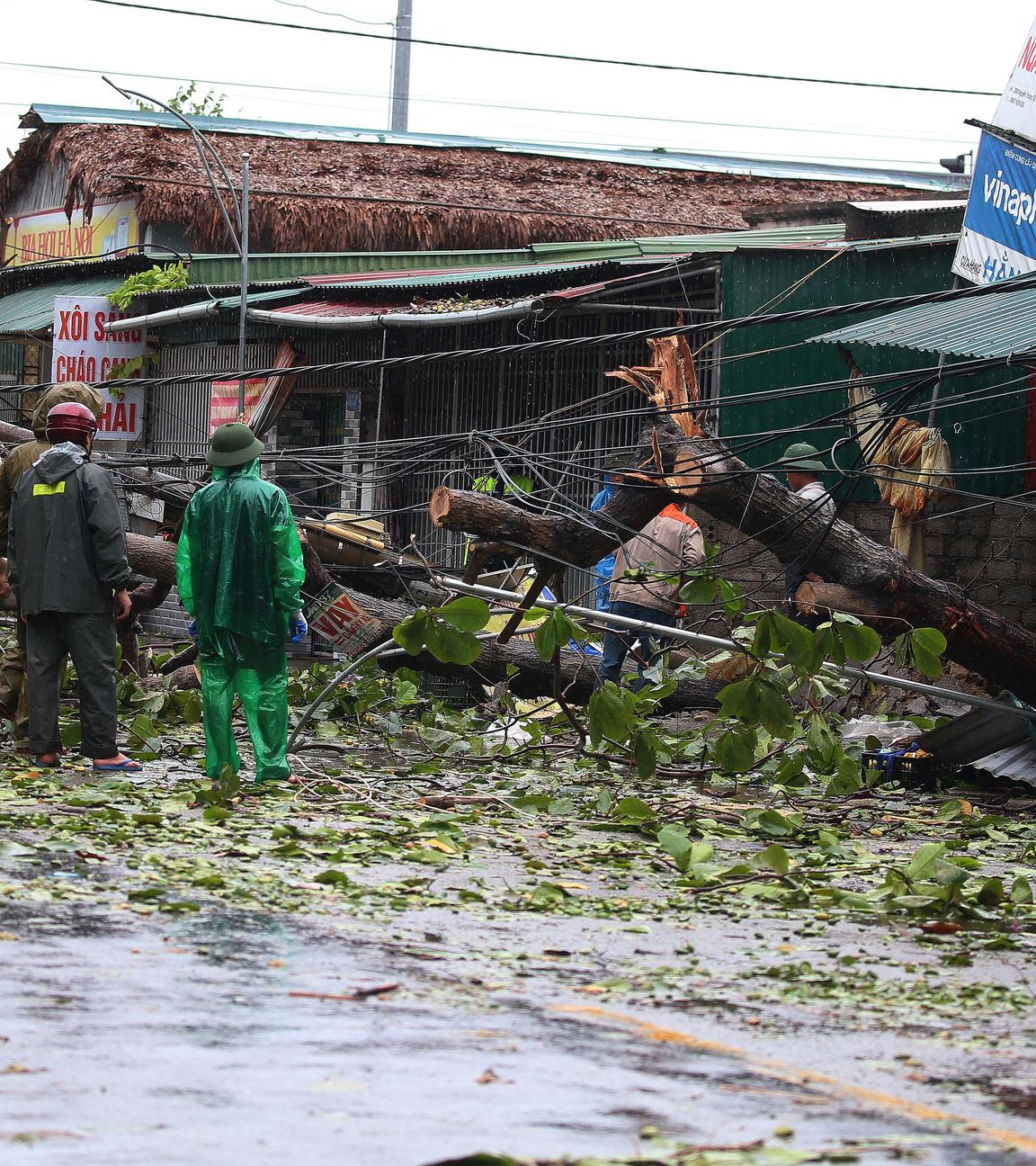 Workers remove a fallen tree at a street in Vinh City, Nghe An province, Vietnam, 26 August 2025.
