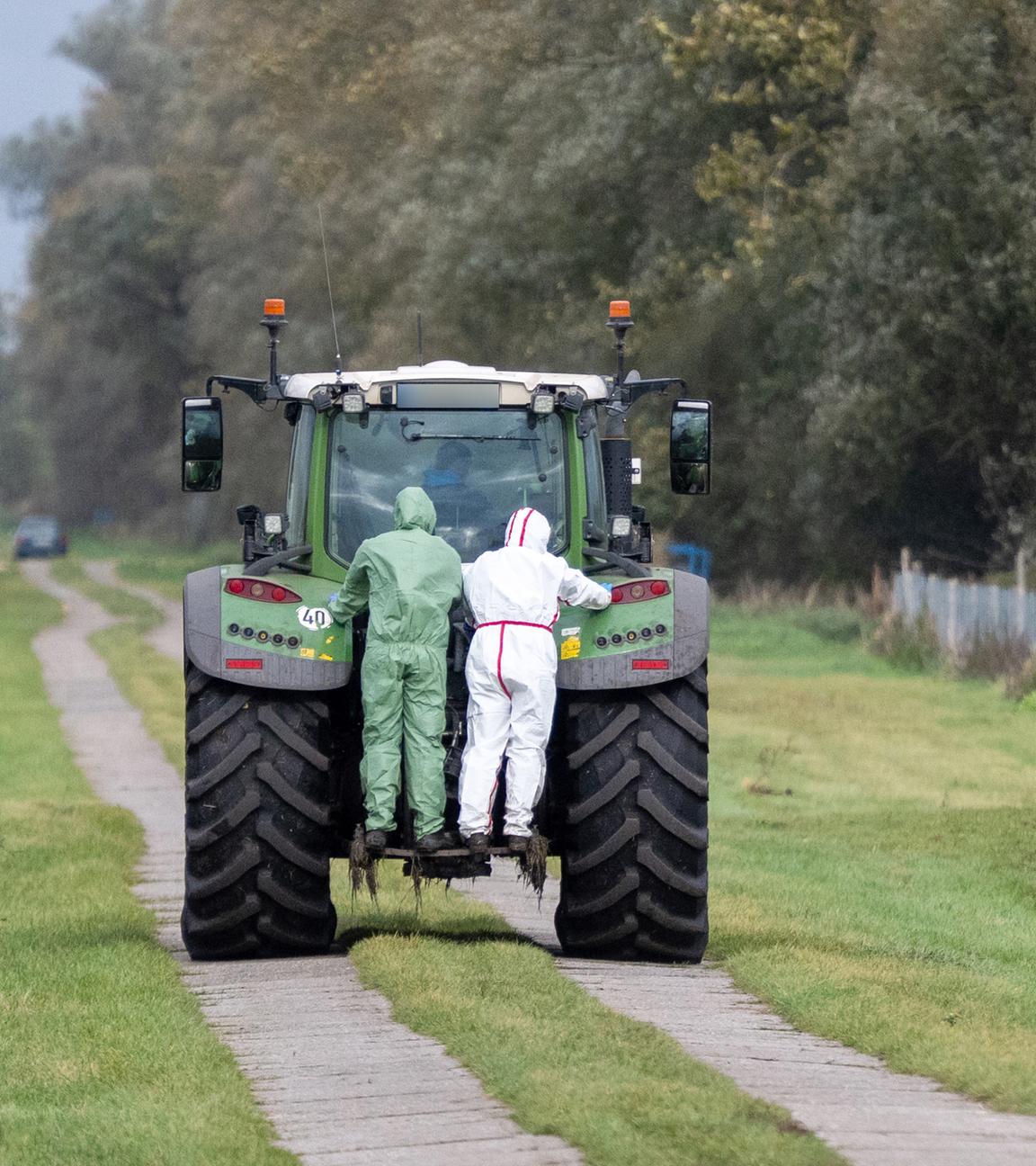 In einem Seuchen-Sperrgebiet in der Nähe von Linum (Fehrbellin) stehen zwei Helfer in Schutzanzügen auf einem Traktor.