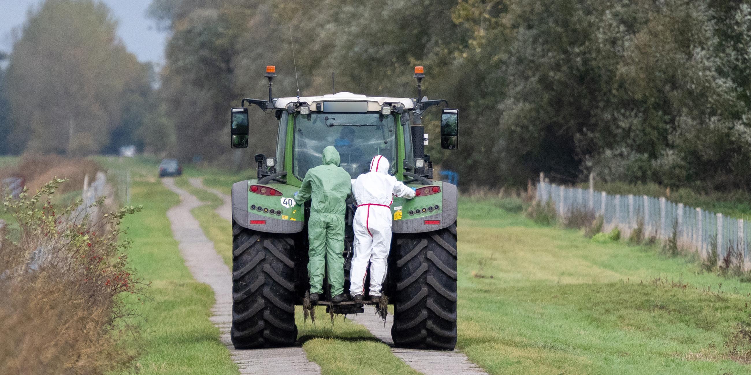 In einem Seuchen-Sperrgebiet in der Nähe von Linum (Fehrbellin) stehen zwei Helfer in Schutzanzügen auf einem Traktor.