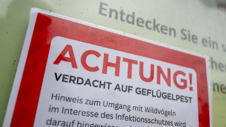 Auf einer Hinweistafel steht «Achtung! Verdacht auf Geflügelpest». 