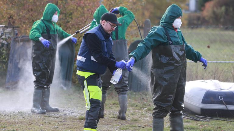 Einsatzkräfte der Feuerwehr werden nach der Suche nach infizierten oder verendeten Kranichen desinfiziert. 