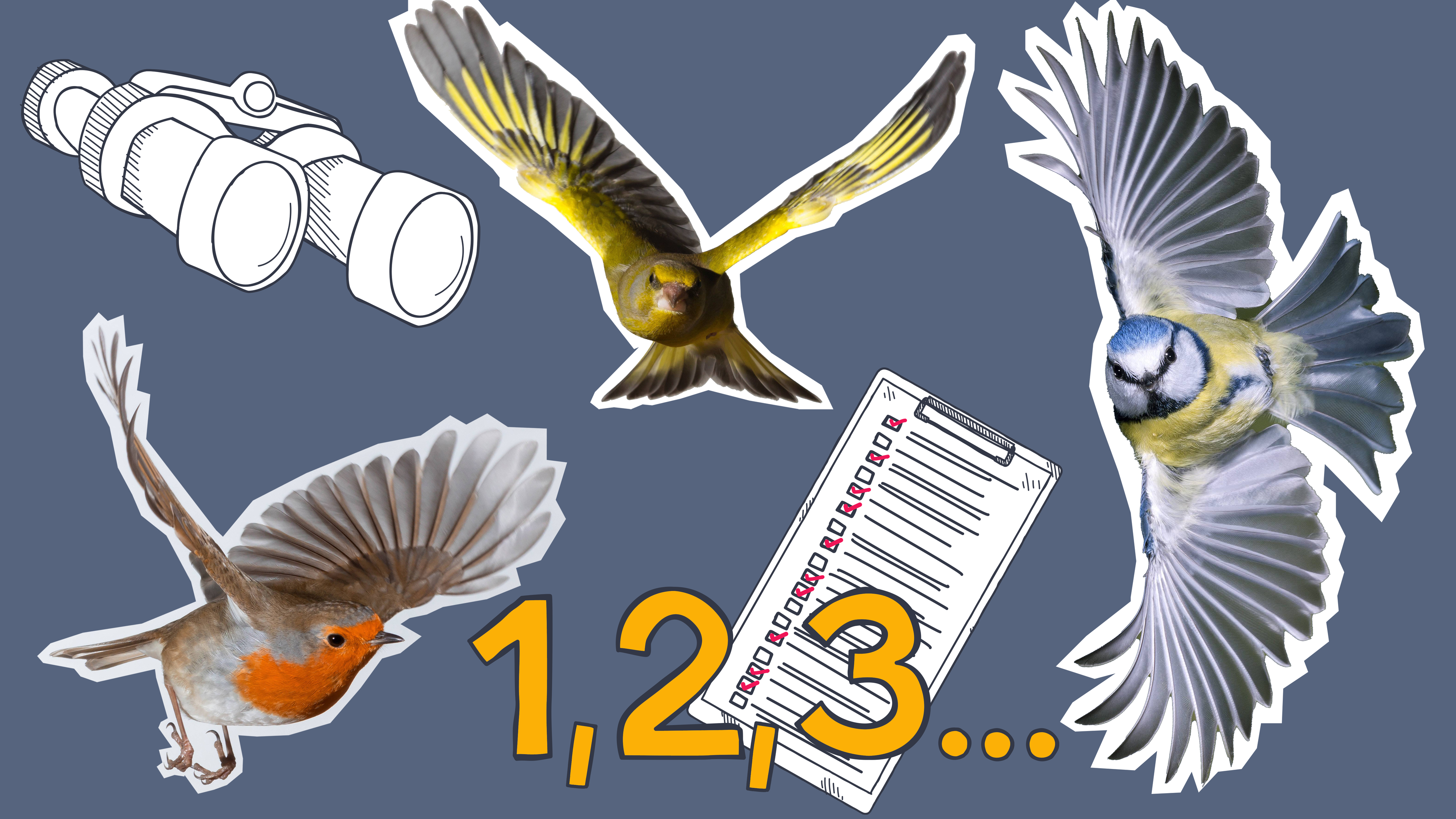Blaumeise, Rotkelchen und Grünfink flattern herum, daneben ein Fernglas, ein Klemmbrett und die Zahlen 1, 2, 3, ...