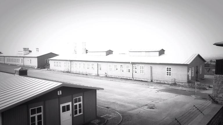 Standbild: Volkhard Knigge über den Holocaust