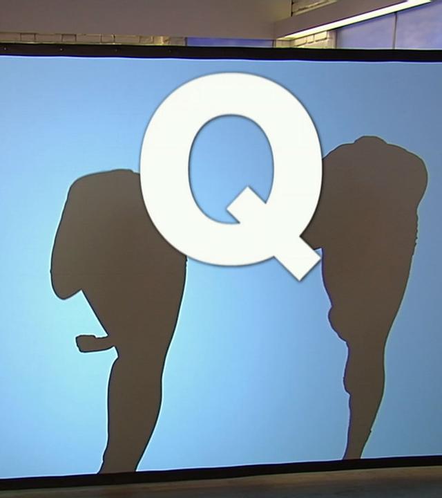 Das Volle-Kanne-ABC: Q
