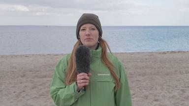 Daniela von Schaper von Greenpeace
