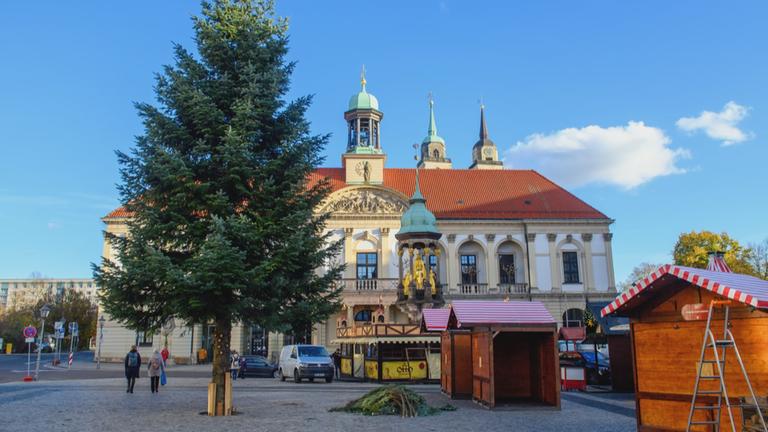 Magdeburg Weihnachtsmarkt