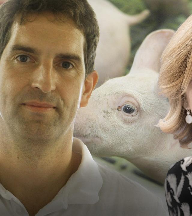 Vordergrund: Dirk Nienhaus, Landwirt und Julia Klöckner, Bundeslandwirtschaftsministerin, Hintergrund: Ferkel