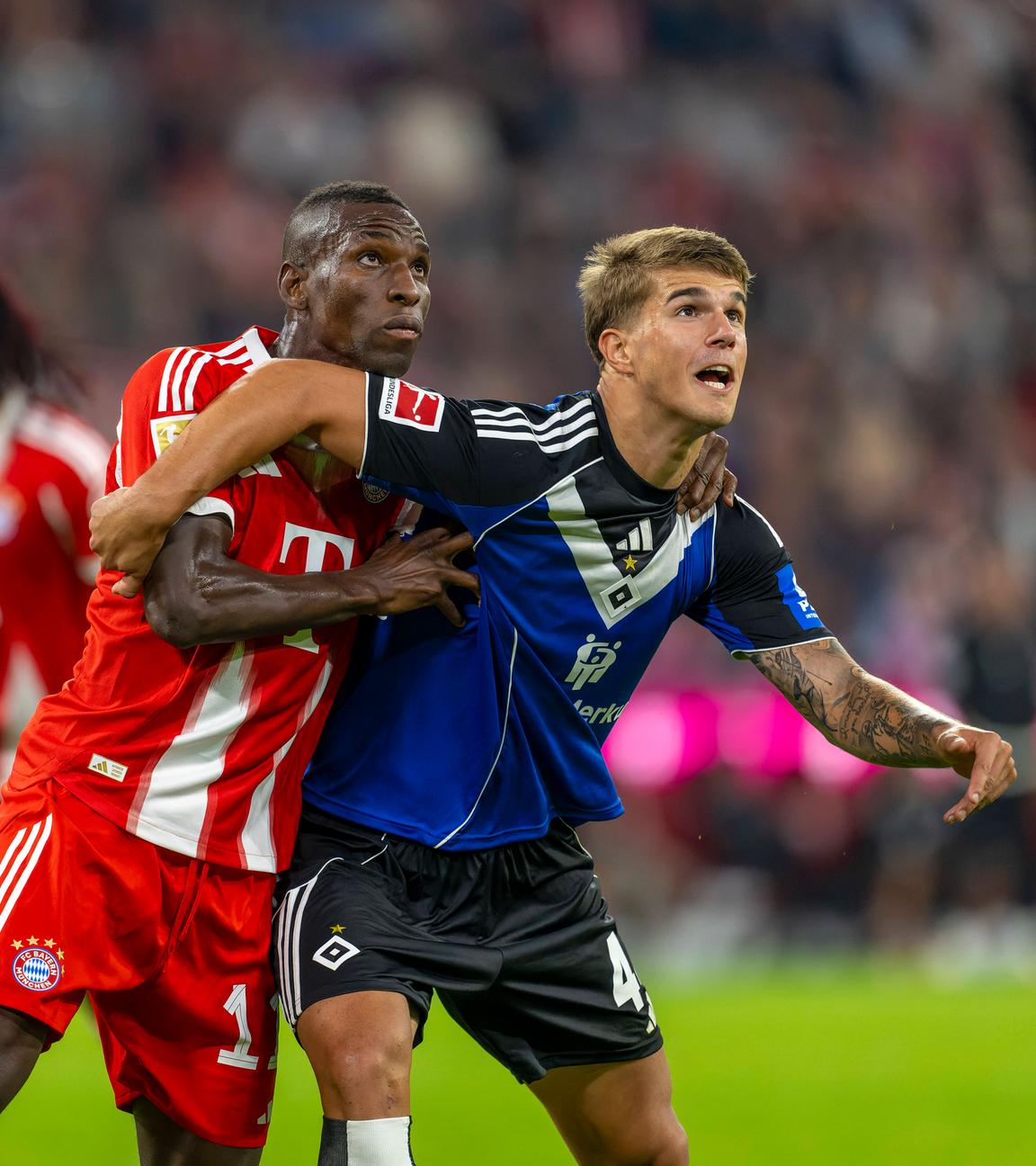 Der Hamburger Abwehrspieler Luka Vuskovic kämpft mit Bayerns Stürmer Nicolas Jackson in der Hinrundenpartie um den Ball