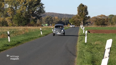 vw-kaefer