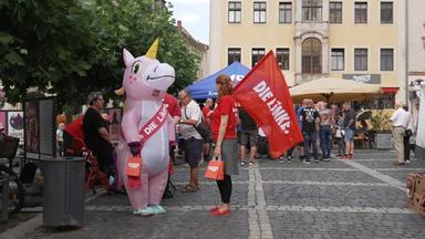 Wahlkampf im Einhornkostüm und Wahlkämpferin mit Parteifahne