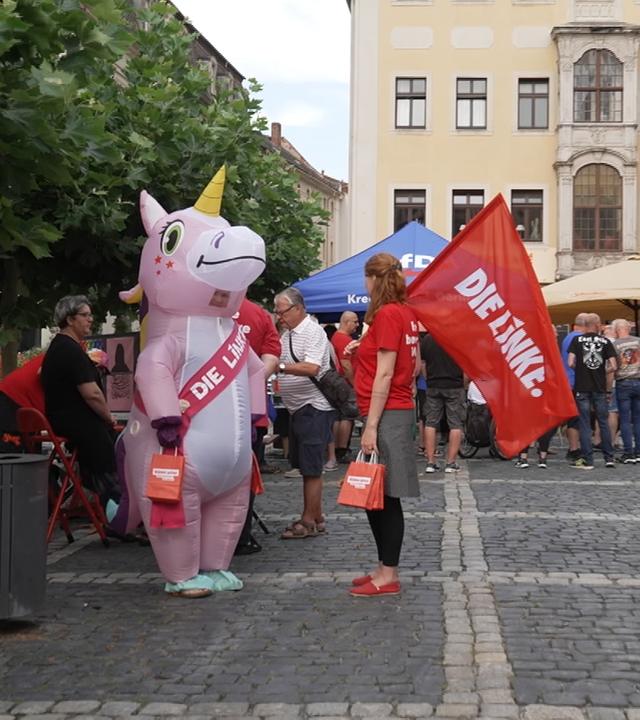 Wahlkampf im Einhornkostüm und Wahlkämpferin mit Parteifahne
