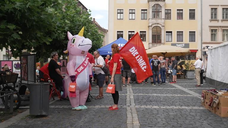 Wahlkampf im Einhornkostüm und Wahlkämpferin mit Parteifahne