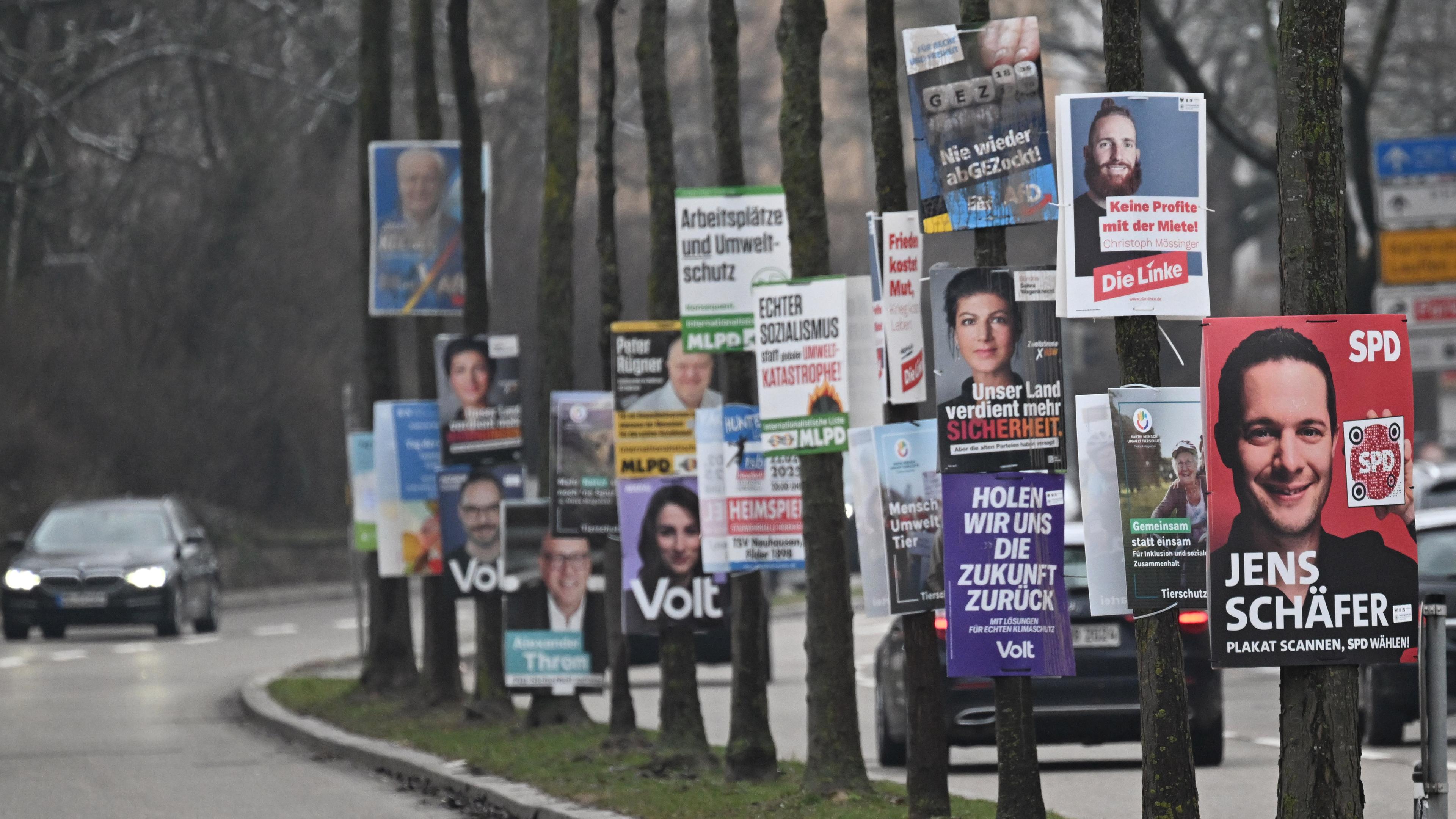 Baden-Württemberg, Heilbronn: Wahlplakate für die Bundestagswahl 2025 hängen dicht hintereinander an Bäumen an einer Zufahrtsstraße zur Heilbonner Innenstadt.