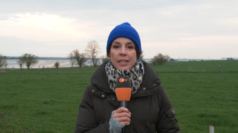 Anne Stadtfeld | ZDF-Reporterin auf der Insel Poel