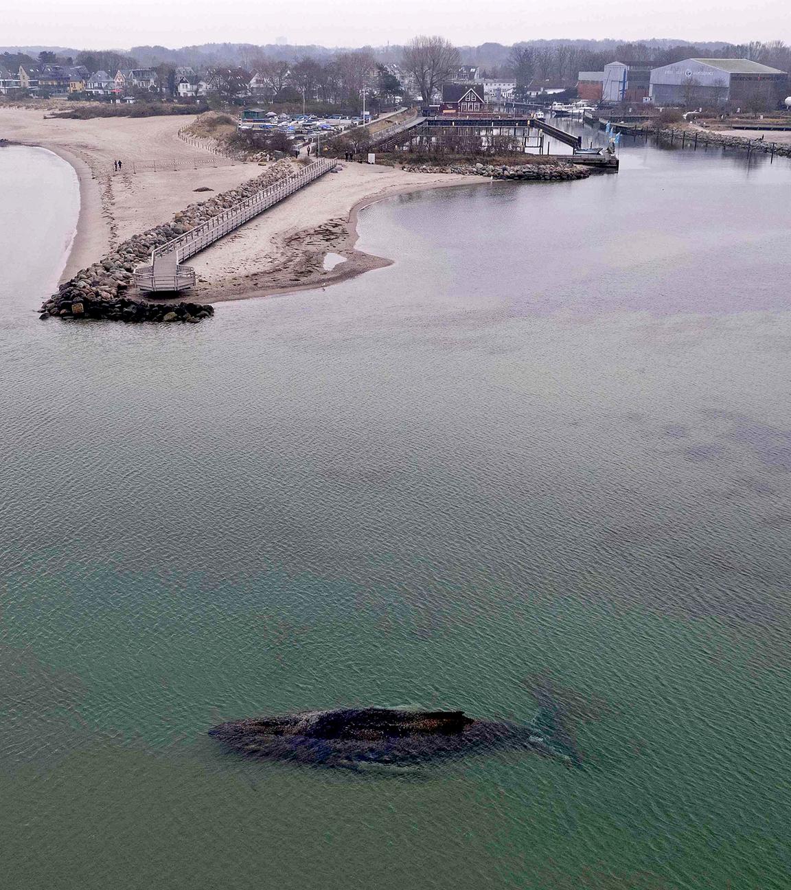 Der gestrandete Wal liegt im Wasser der Ostsee vor der Seebrücke am Hafen Niendorf, aufgenommen am 24.03.2026