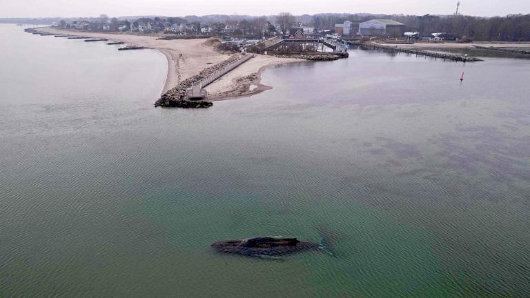 Der gestrandete Wal liegt im Wasser der Ostsee vor der Seebrücke am Hafen Niendorf, aufgenommen am 24.03.2026