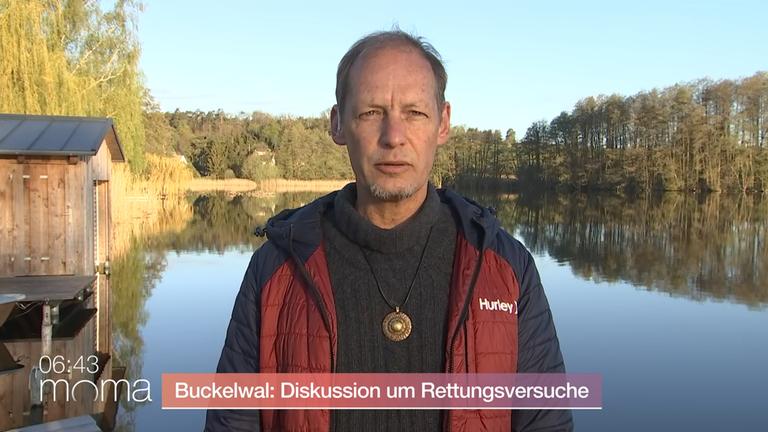 Wal-Drama: "Lange Leidensgeschichte"