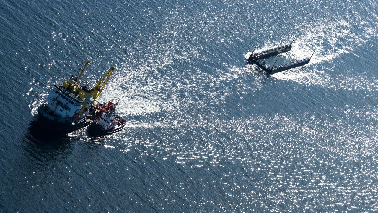 Buckelwal Timmy in Nordsee entlassen – Streit um GPS-Tracker und Vorwürfe gegen Retter