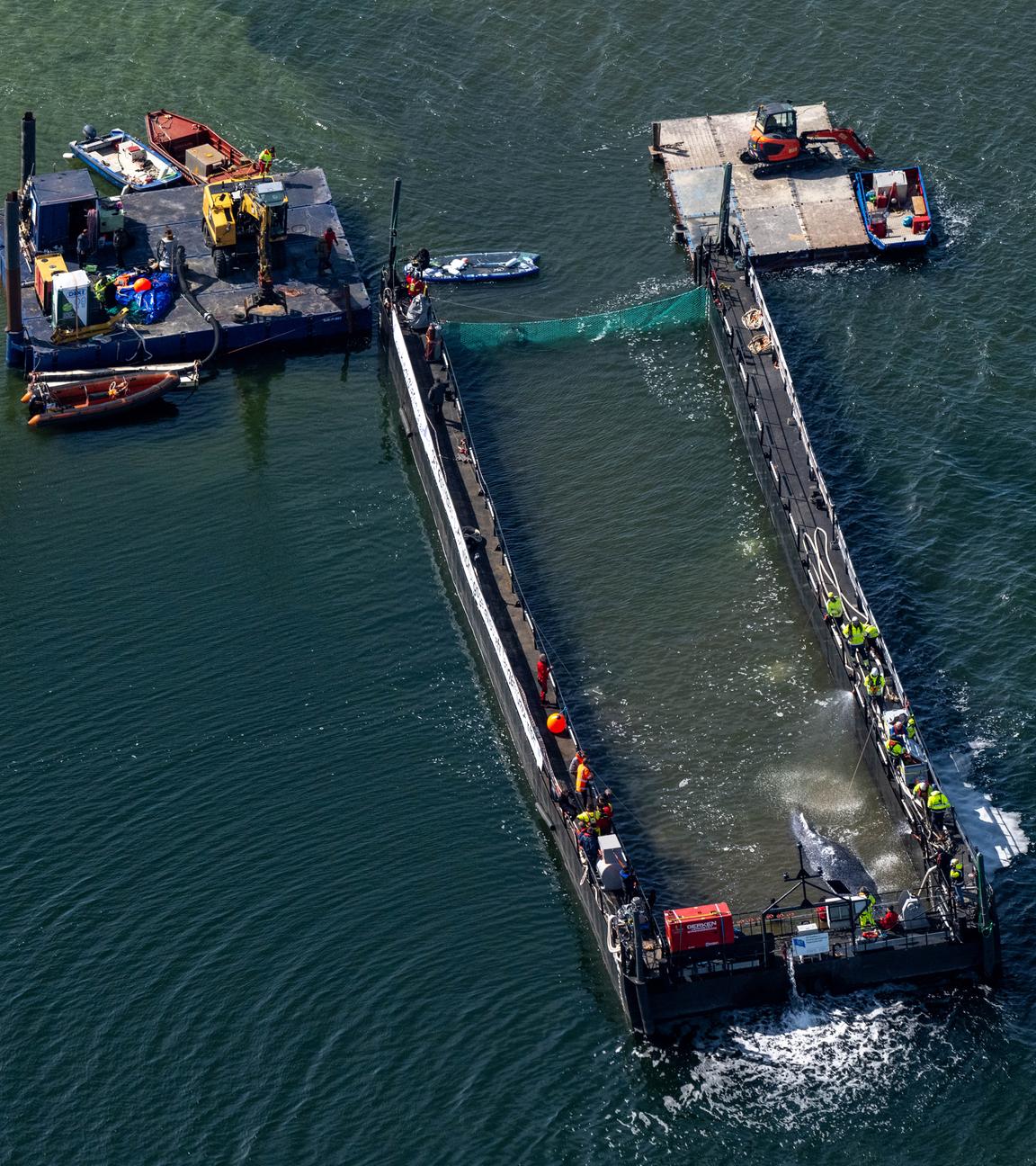 Der in der Ostsee gestrandete Buckelwal ist in dem für seinen Transport vorgesehenen Lastkahn angekommen.