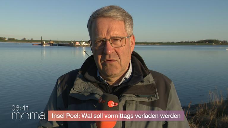 Wal-Rettung: "Die Risiken sind relativ groß"