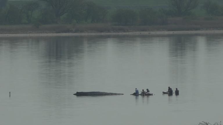 Wal Timmy vor Wismar