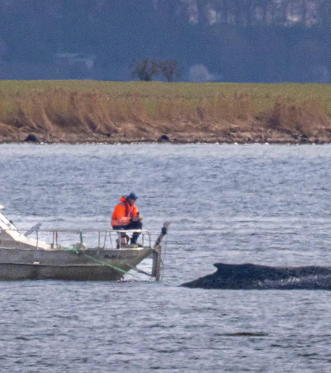 Ein Boot liegt in der Nähe des Wals vor der Insel Poel am 03.04.2026.