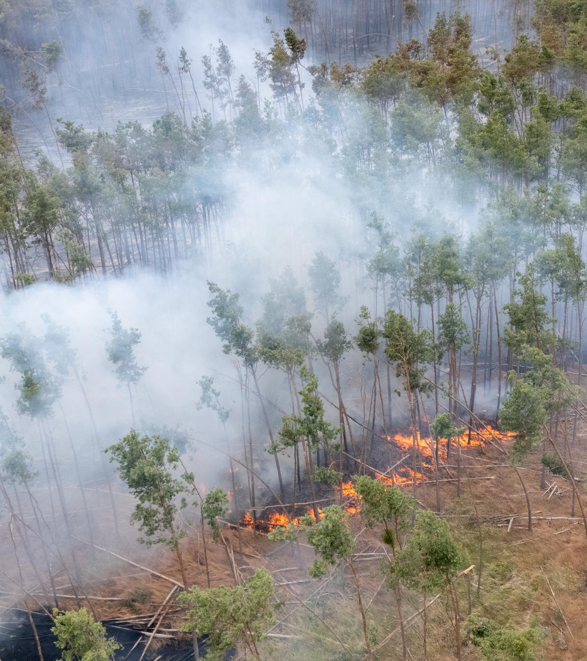  Ein Feuer brennt bei einem Wald- und Vegetationsbrand in der Gohrischheide im Landkreis Meißen (Luftaufnahme mit Drohne). 