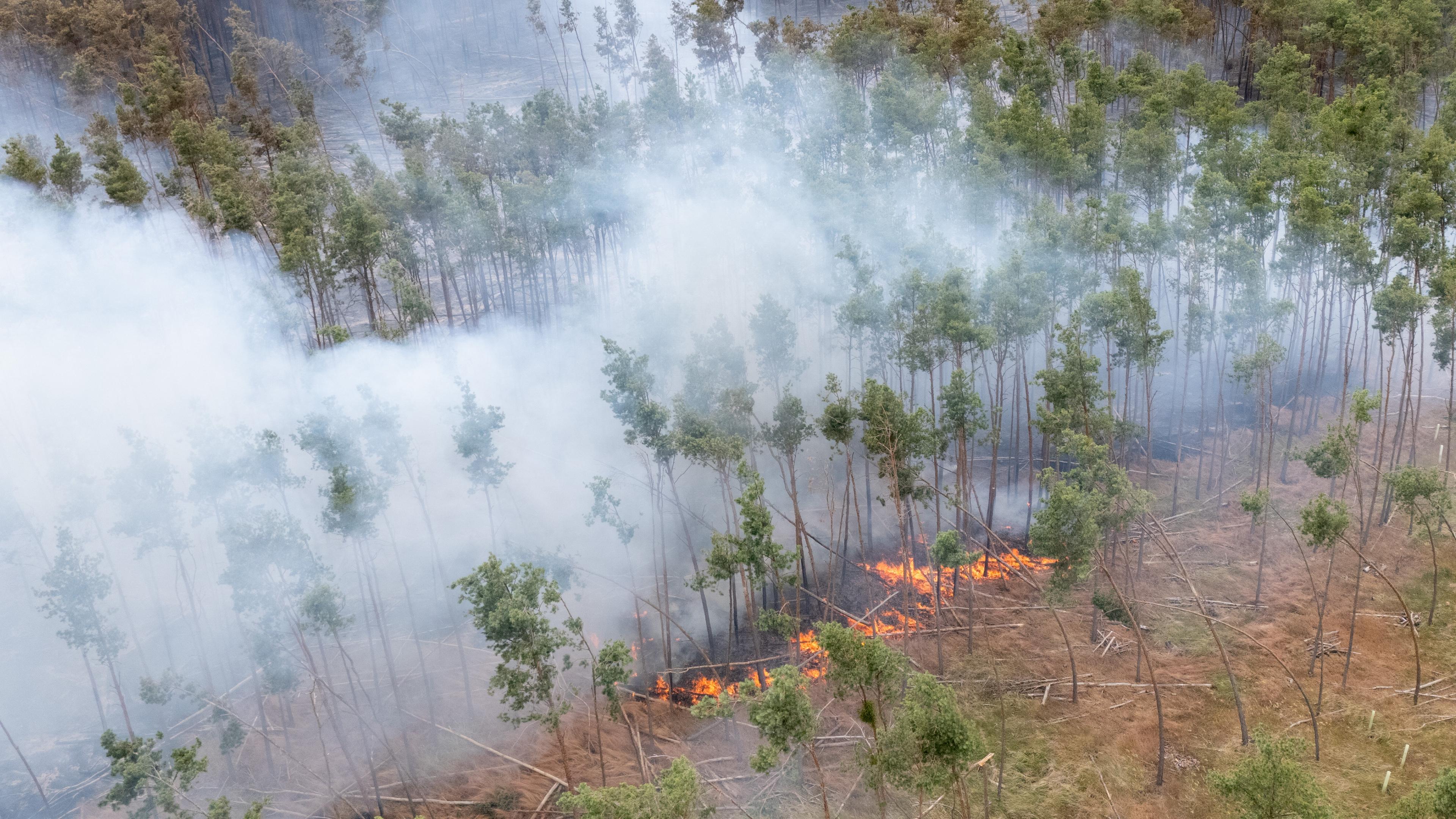  Ein Feuer brennt bei einem Wald- und Vegetationsbrand in der Gohrischheide im Landkreis Meißen (Luftaufnahme mit Drohne). 