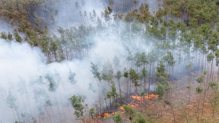  Ein Feuer brennt bei einem Wald- und Vegetationsbrand in der Gohrischheide im Landkreis Meißen (Luftaufnahme mit Drohne). 