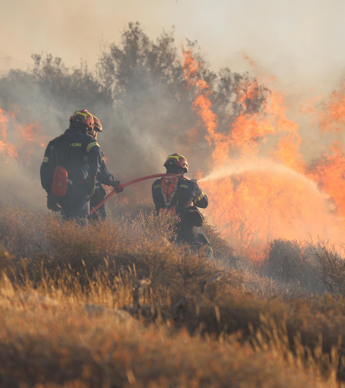 Feuerwehrmänner schießen Wasser mit Schlauch auf Brandherd.