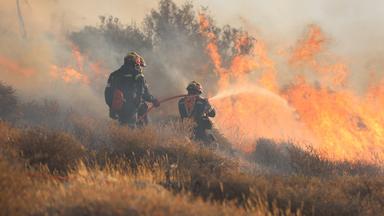 Feuerwehrmänner schießen Wasser mit Schlauch auf Brandherd.