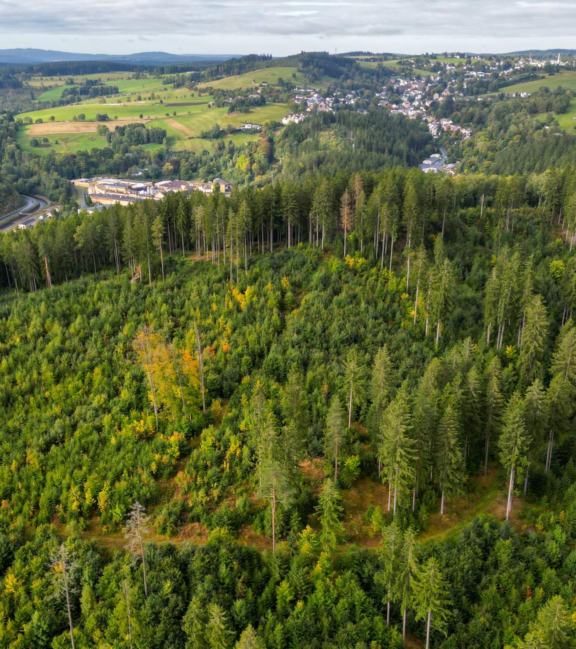lick aus dem Forstbezirk Eibenstock über den Wald an der Talsperre.