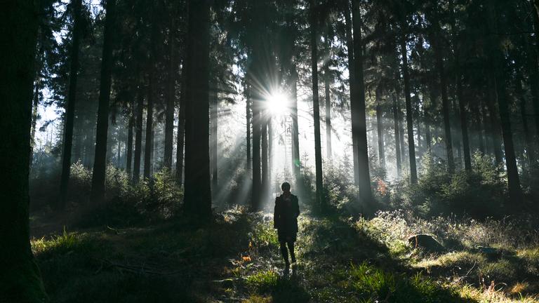 Hessen, Schmitten: Eine Spaziergängerin ist im Wald am Kleinen Feldberg im Taunus unterwegs, während die Sonne zwischen den Bäumen hindurchscheint. Die Beziehung der Deutschen zu ihren Wäldern ist legendär, und das Klischee wird auch von einer neuen Umfrage in Corona-Zeiten bedient: Fast alle Erwachsenen in Deutschland (87 Prozent) verbringen gerne Zeit im Wald. Das zeigt eine repräsentative YouGov-Umfrage. (zu dpa "Umfrage: Die Deutschen lieben ihren Wald - und sorgen sich um ihn") 