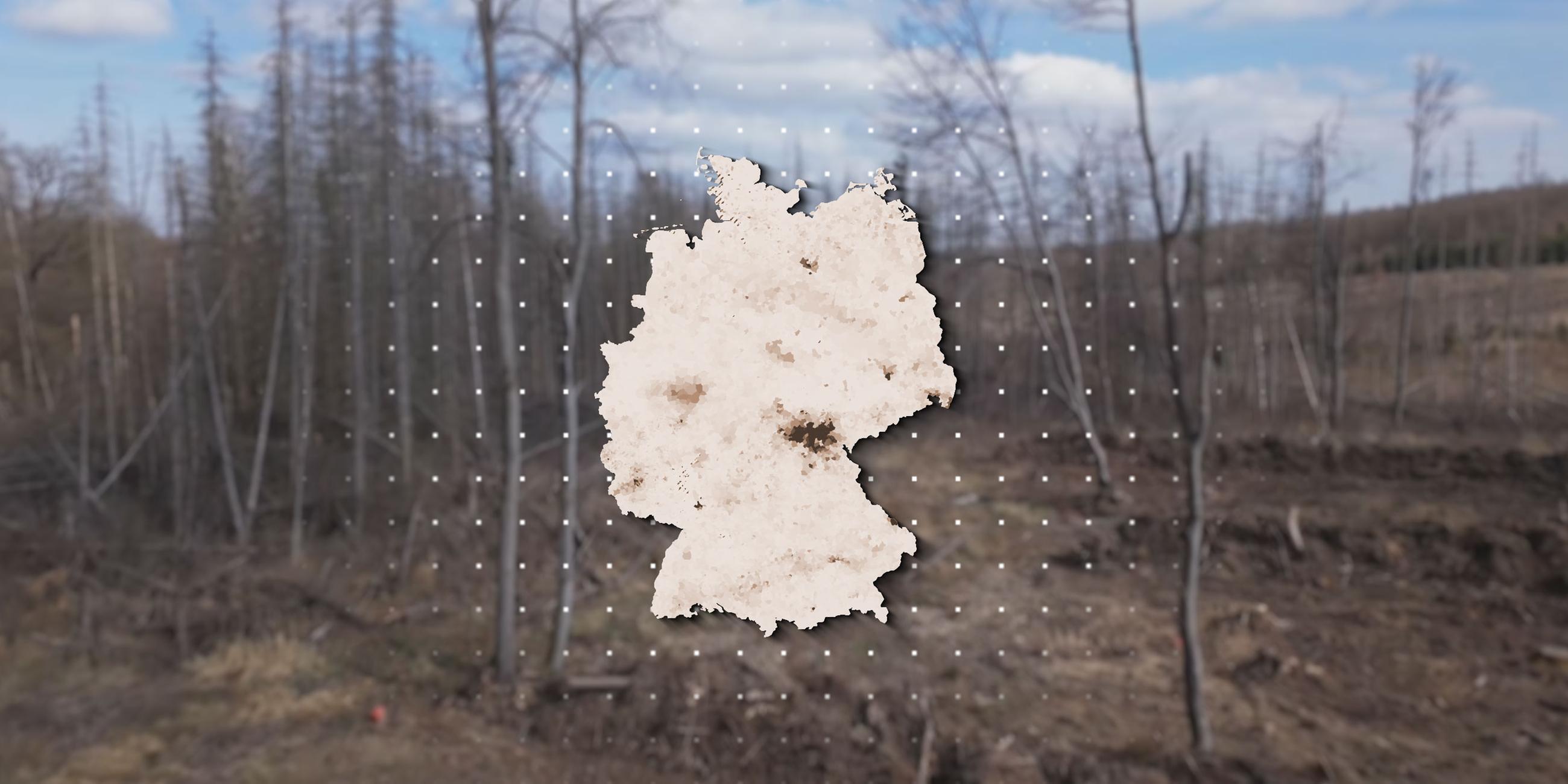 Abgestorbener Wald mit Deutschlandkarte