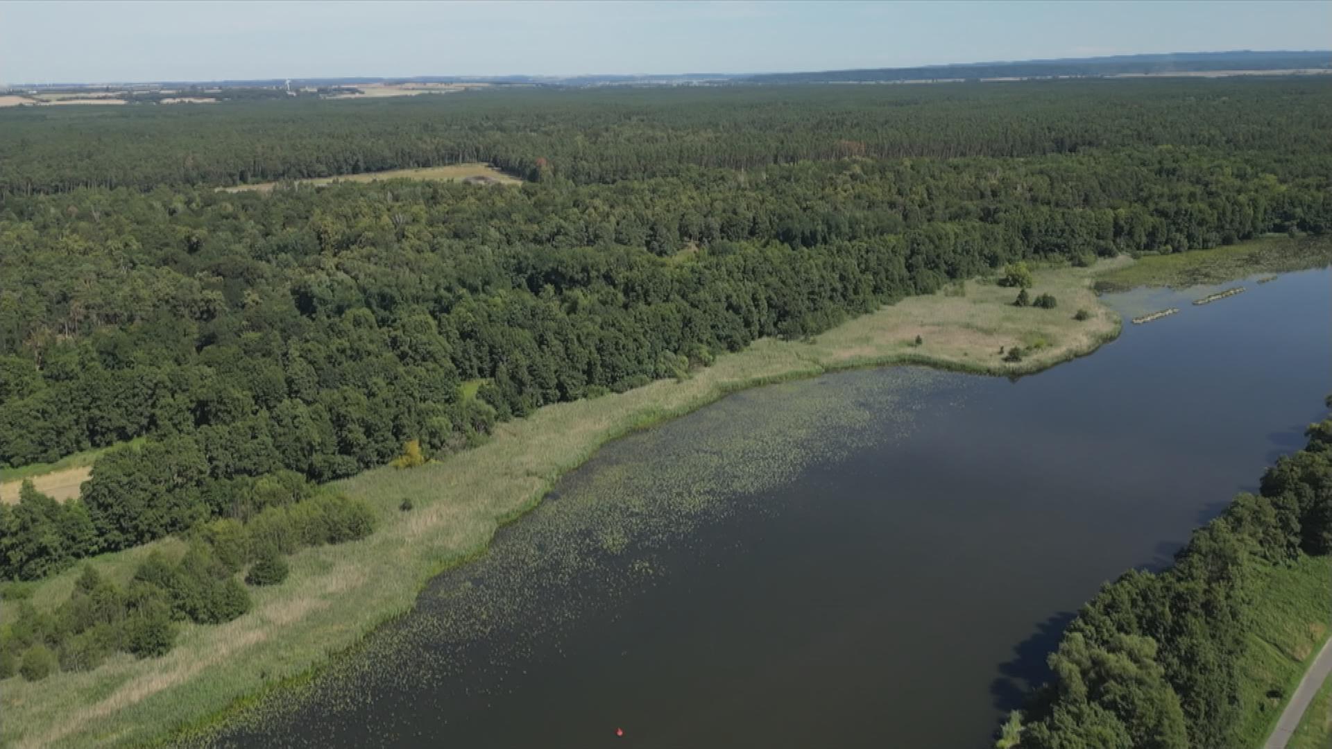 Auf dem Bild ist ein großer Wald und ein Fluss zu sehen.