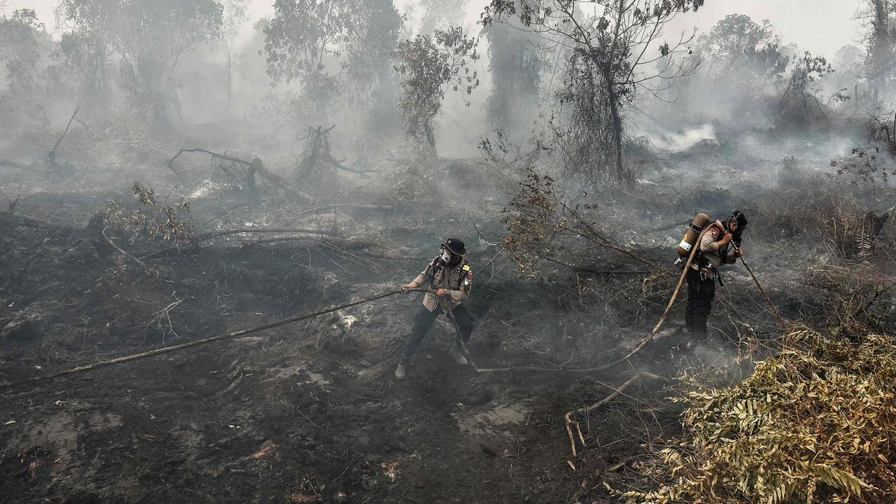 El Niño: What can be predicted - | and what can't