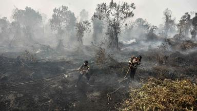 Waldbrände in Indonesien, aufgenommen am 25.08.2026