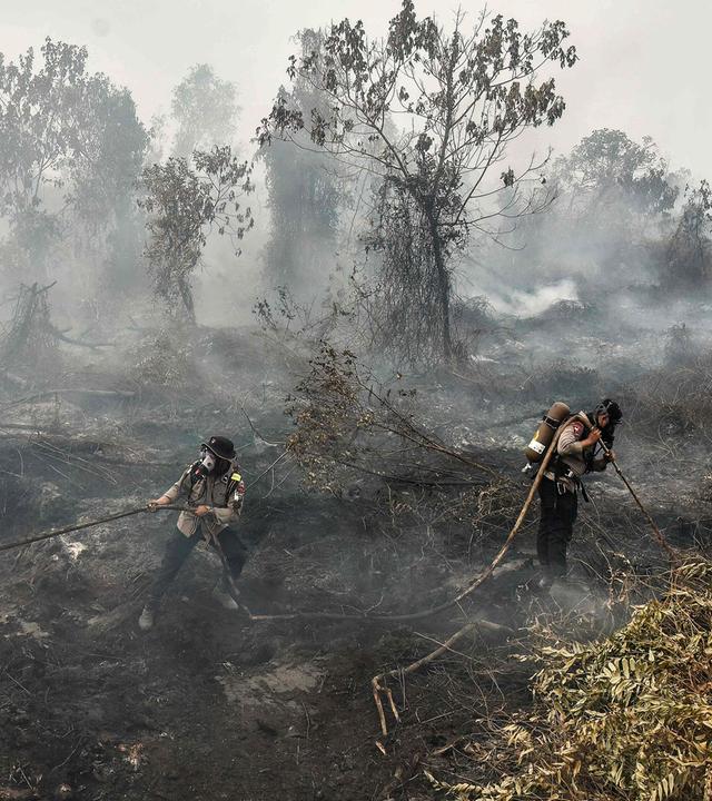 Waldbrände in Indonesien, aufgenommen am 25.08.2026